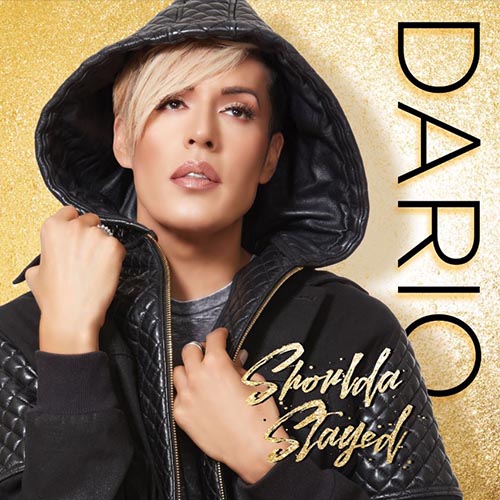 Dario Shoulda Stayed Review Staccatofy